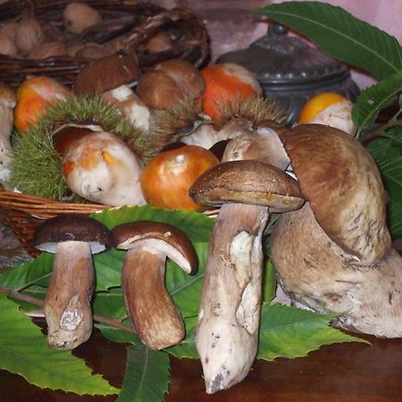 Agriturismo Nonno Tobia Agerola Eksteriør bilde