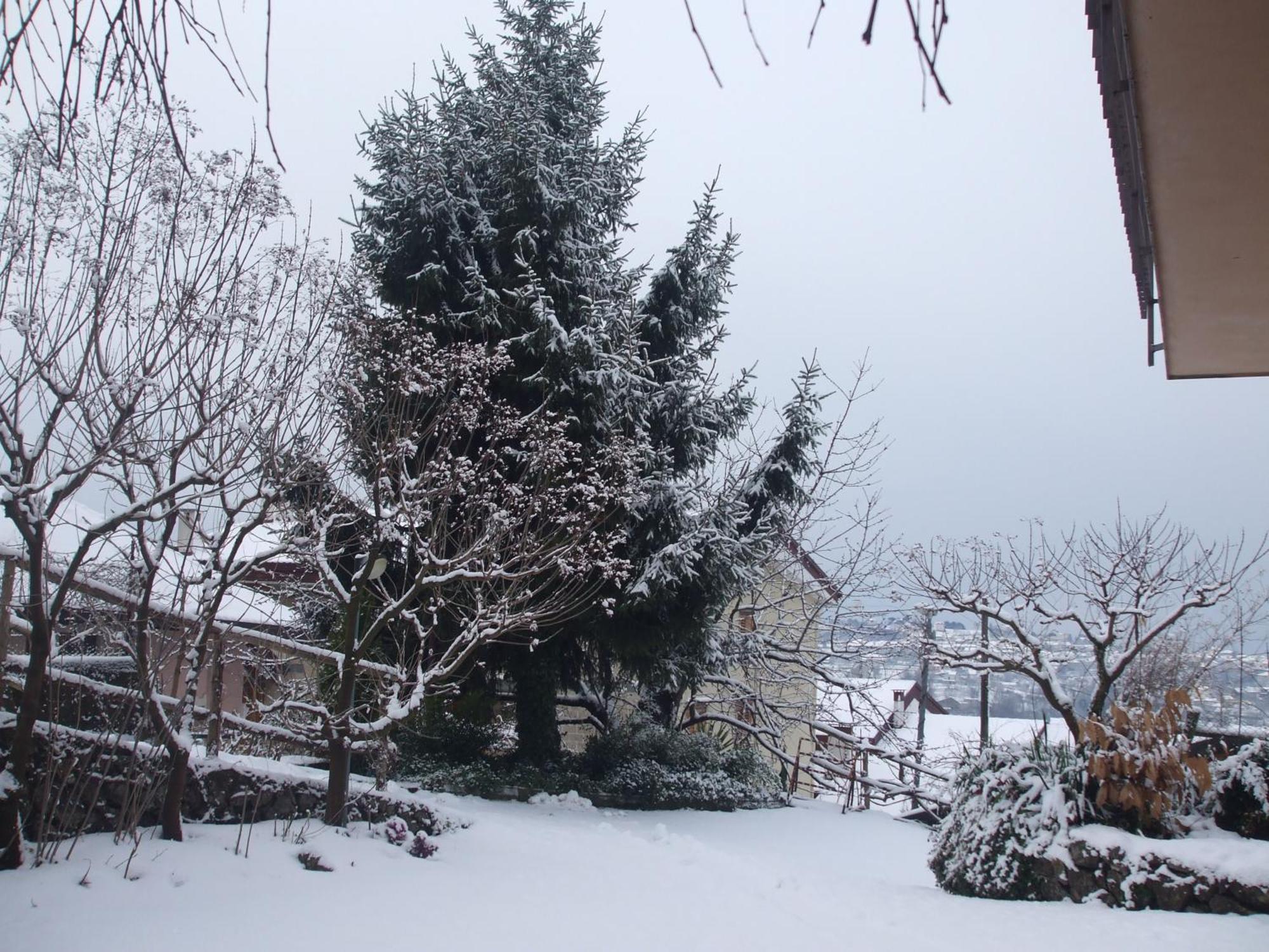 Agriturismo Nonno Tobia Agerola Eksteriør bilde