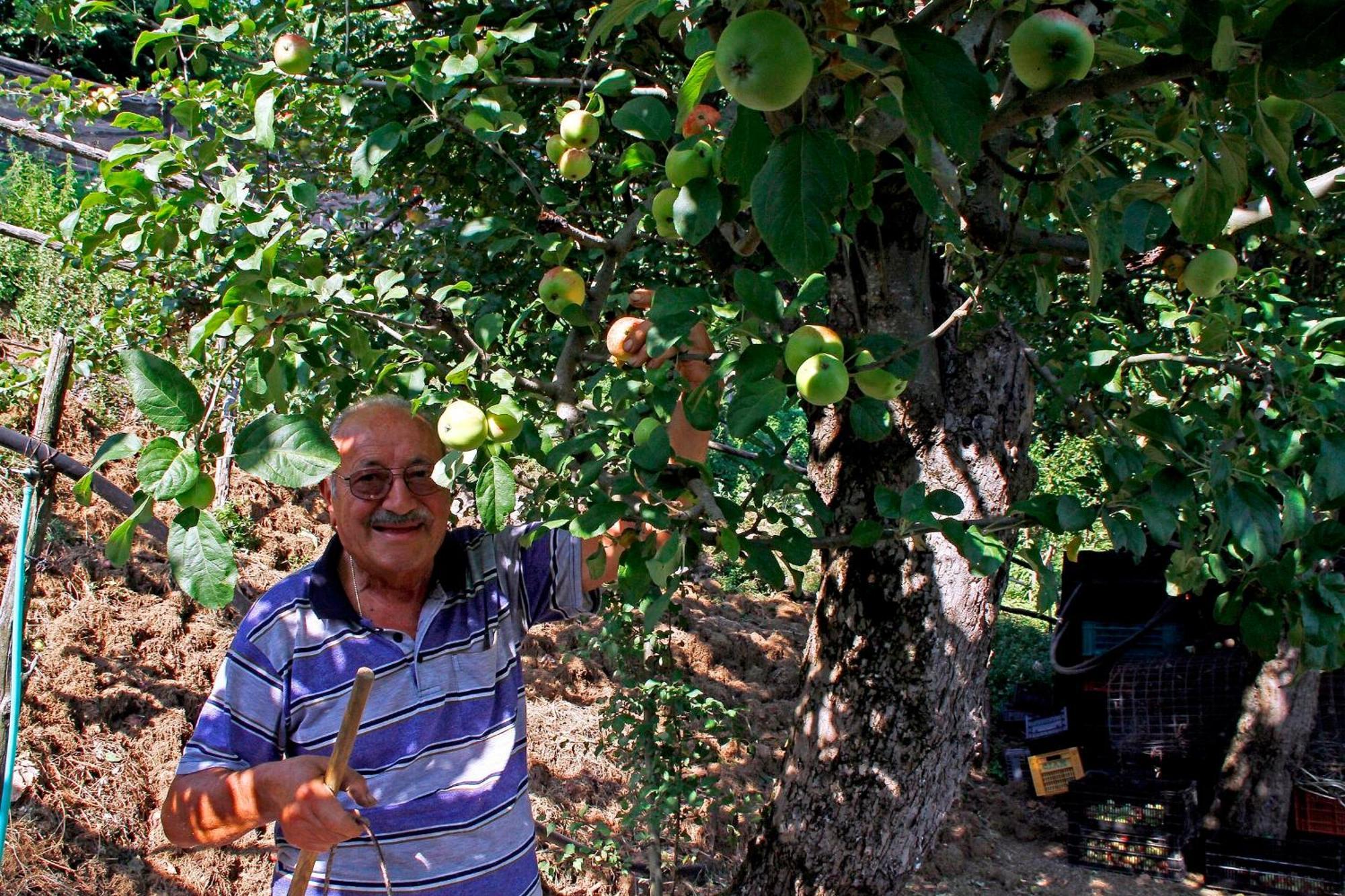 Agriturismo Nonno Tobia Agerola Eksteriør bilde