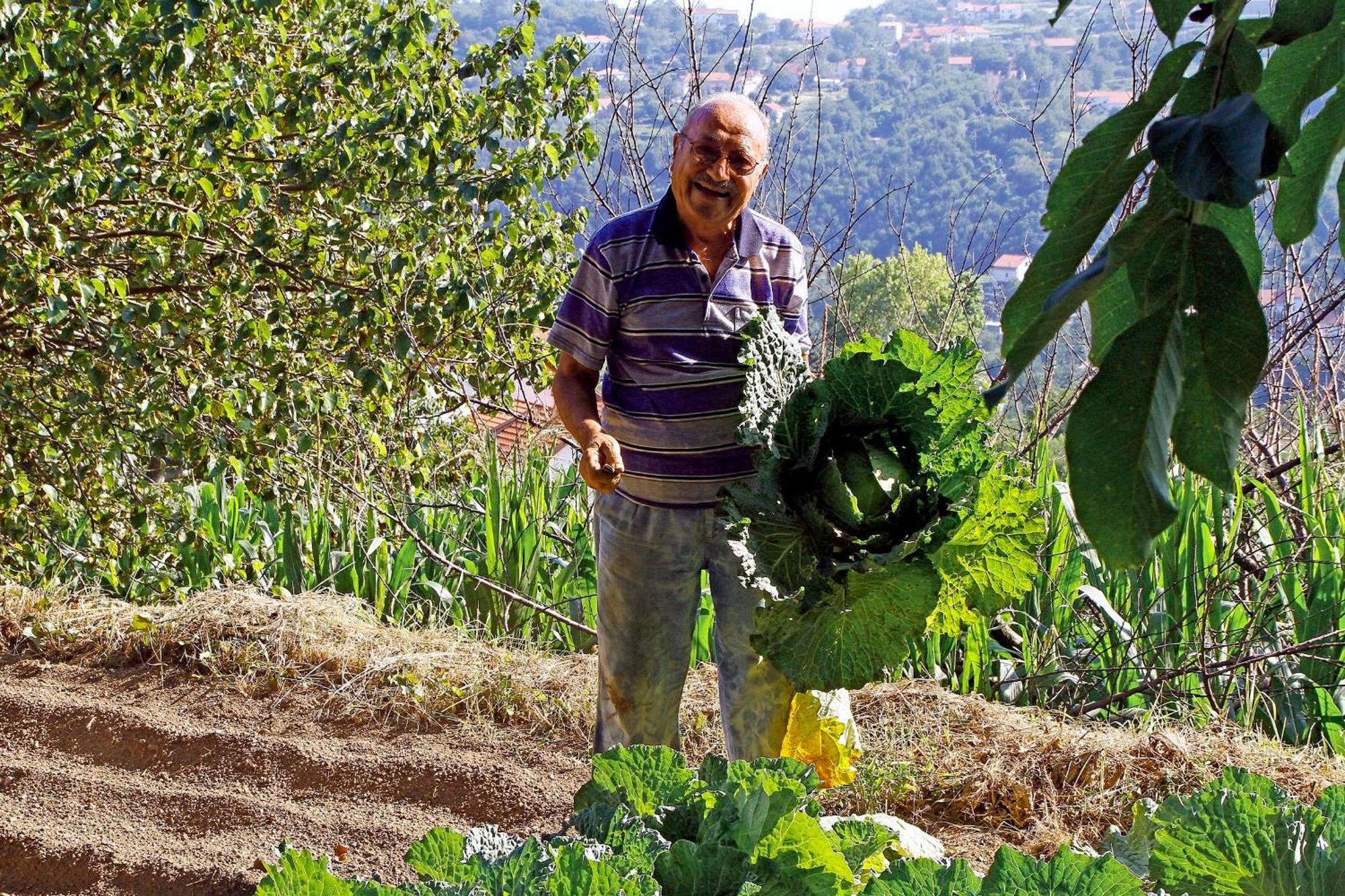 Agriturismo Nonno Tobia Agerola Eksteriør bilde