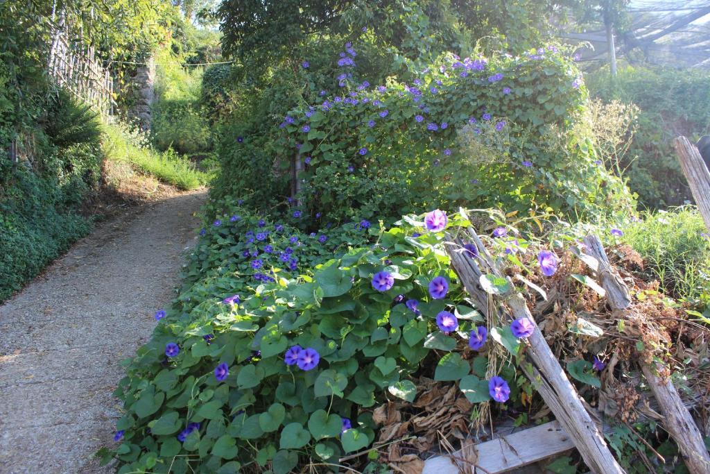 Agriturismo Nonno Tobia Agerola Eksteriør bilde