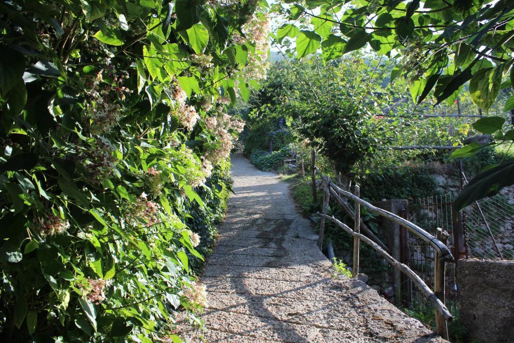 Agriturismo Nonno Tobia Agerola Eksteriør bilde